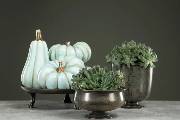 Alot Decoration Pumpa minty avlång